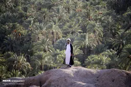 مستندی از  زندگی متفاوت یک روحانی / تصاویر