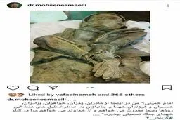 واکنش عضو حقوقدان شورای نگهبان به توییت پربحث محسن رضایی + متن