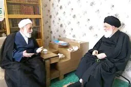 ناطق نوری به دیدار علم الهدی رفت /عکس