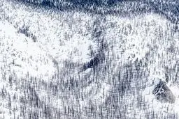 طبیعت سیاه و سفید در عکس روز نشنال جئوگرافیک/عکس