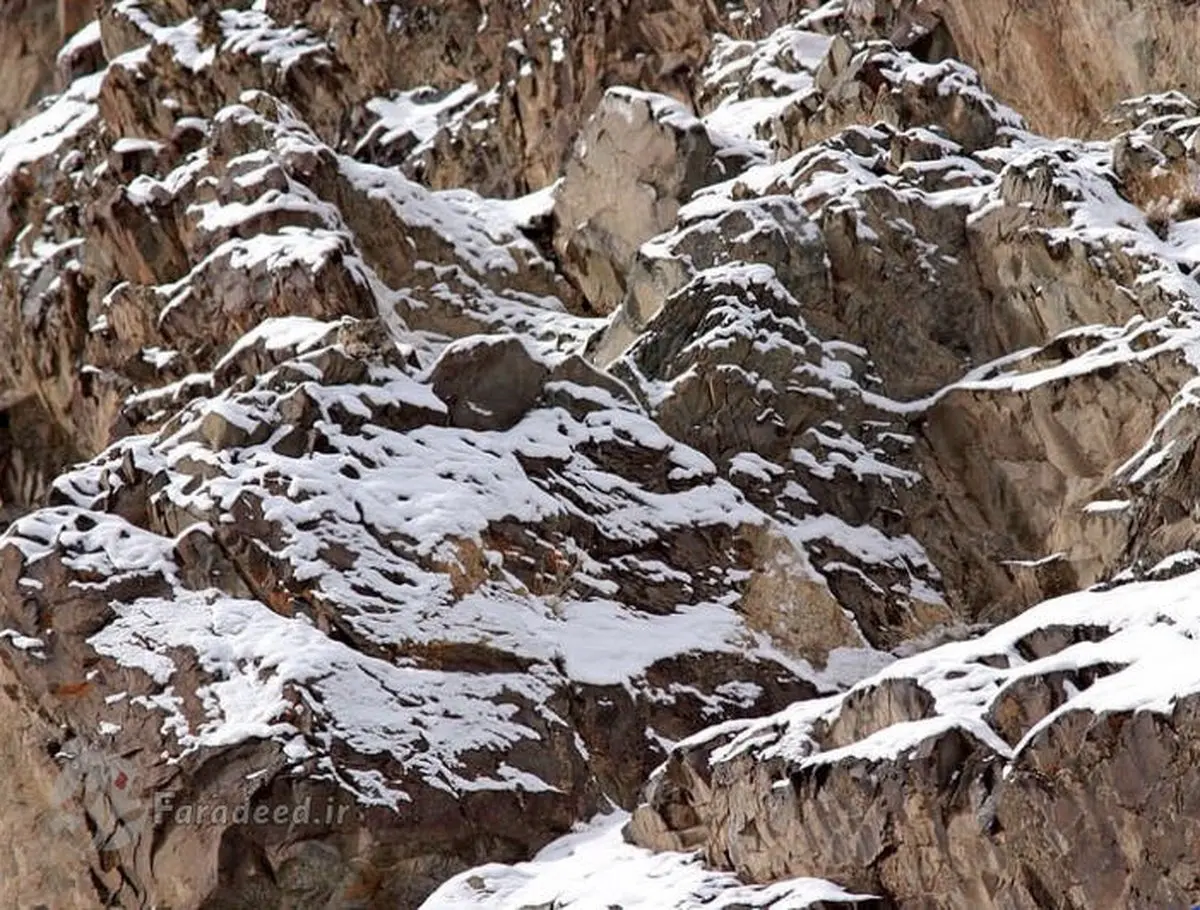 استتارهای قبل از شما سوتفاهم بود/ تصاویر