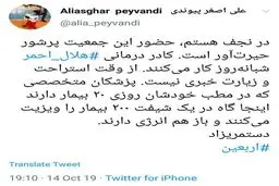 توئیتر / روایت رئیس هلال احمر از جمعیت پرشور زائران در نجف