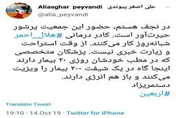 توئیتر / روایت رئیس هلال احمر از جمعیت پرشور زائران در نجف