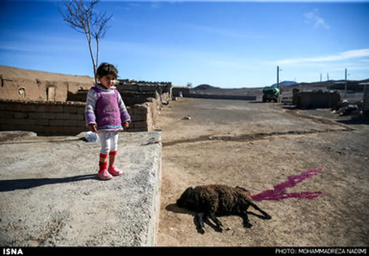 ۴۰ کیلومتر بعد از تهران/تصاویر