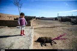 ۴۰ کیلومتر بعد از تهران/تصاویر