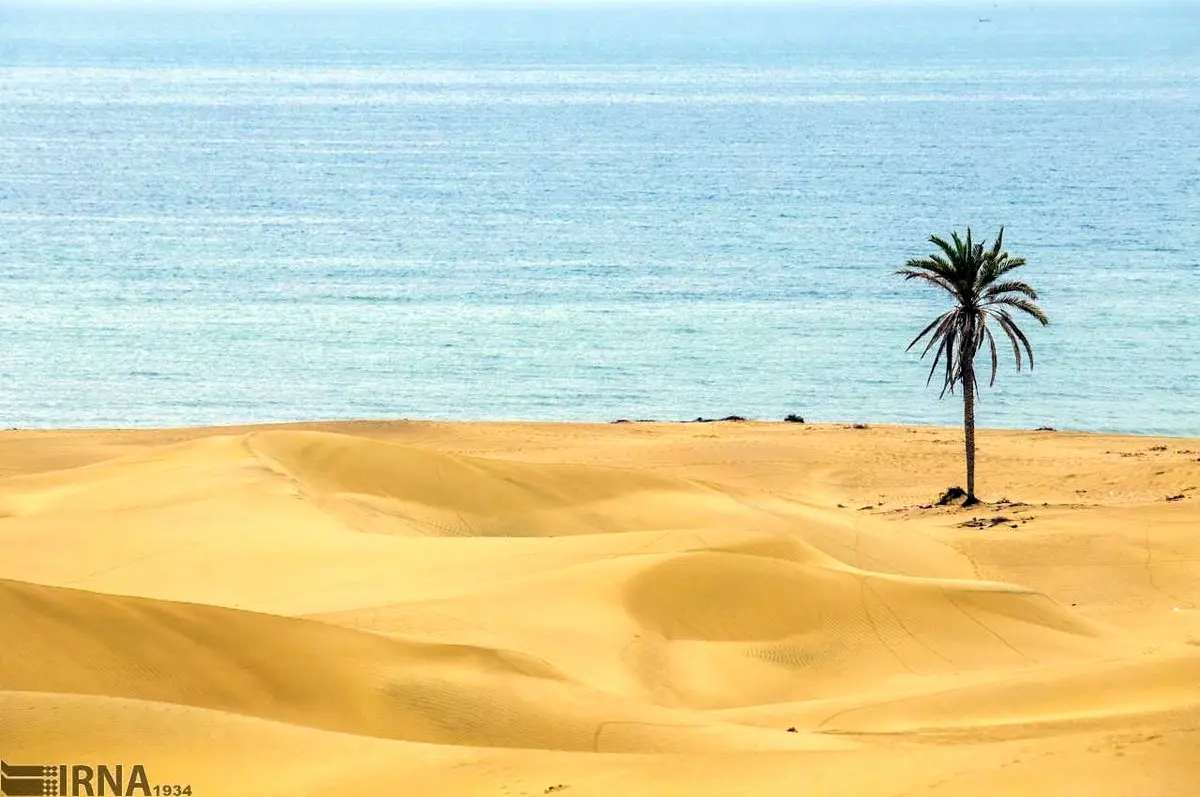 با این تصاویر بروید به "دَرَک"