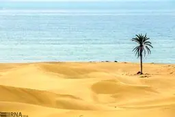 با این تصاویر بروید به "دَرَک"