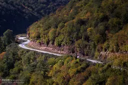 طبیعت زیبای مازندران (عکس)