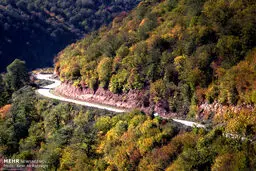 طبیعت زیبای مازندران (عکس)