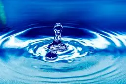 عجیب‌ترین آلرژی‌ها+تصاویر
