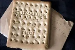 بیسکویت به جا مانده از کشتی تایتانیک، گران‌ترین بیسکویت جهان+عکس