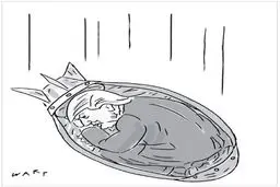 خطر ریزش ترامپ!/ کاریکاتور