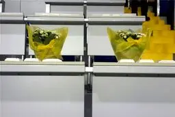 جای خالی دو خبرنگار ایرانی در ورزشگاه +عکس