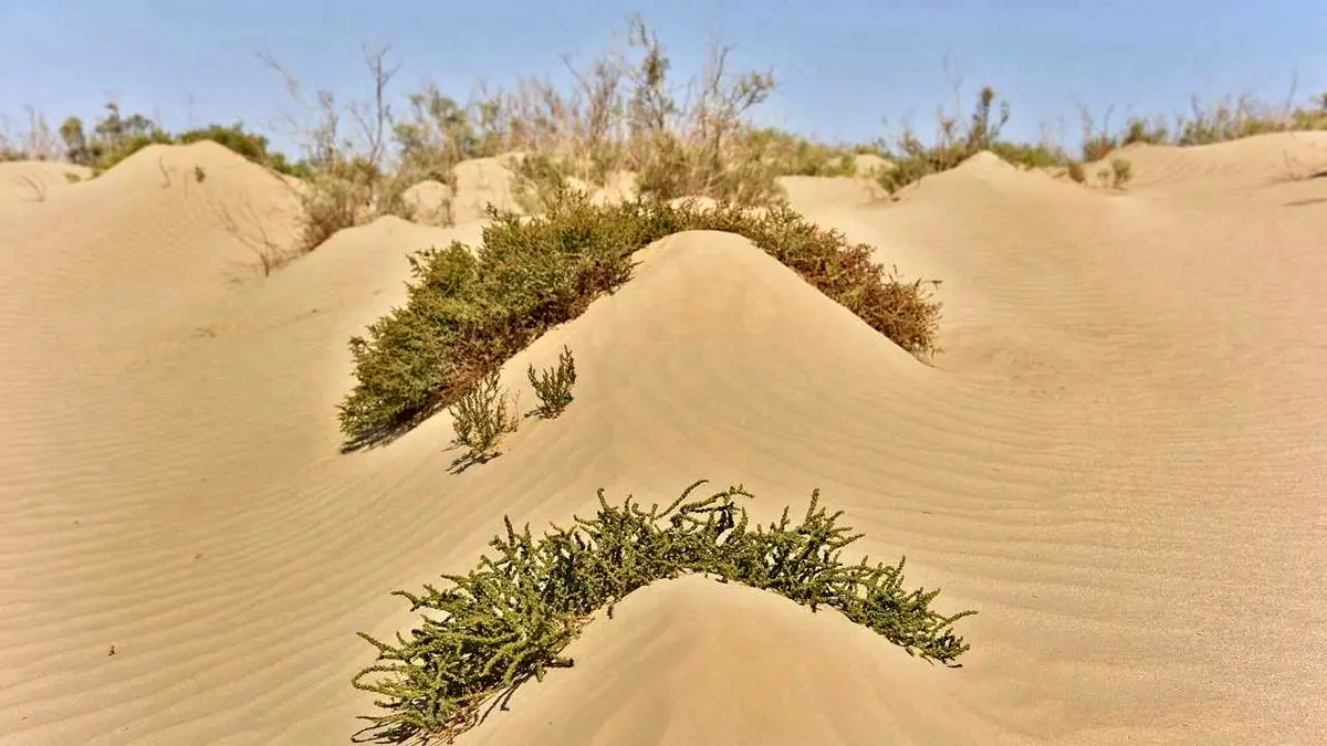 تصاویری از سیستان بعد از طوفان