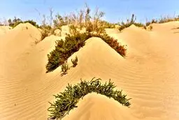 تصاویری از سیستان بعد از طوفان