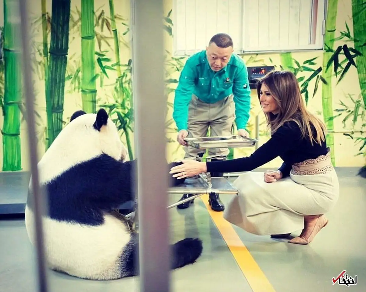 تصاویری جالب از ملاقات همسر ترامپ با پاندای غول پیکر