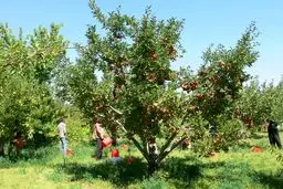 گردشگری روستایی در حوالی پایتخت+تصاویر