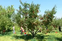 گردشگری روستایی در حوالی پایتخت+تصاویر