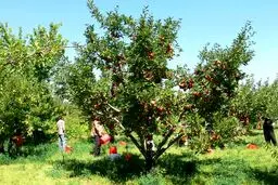گردشگری روستایی در حوالی پایتخت+تصاویر