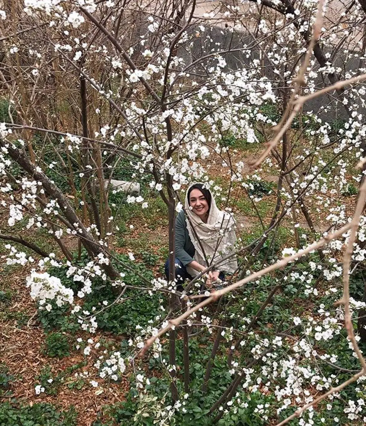 هانيه توسلى در بين شكوفه هاى بهاری/عکس