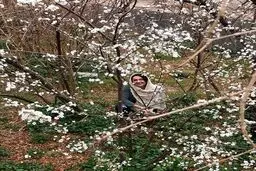 هانيه توسلى در بين شكوفه هاى بهاری/عکس