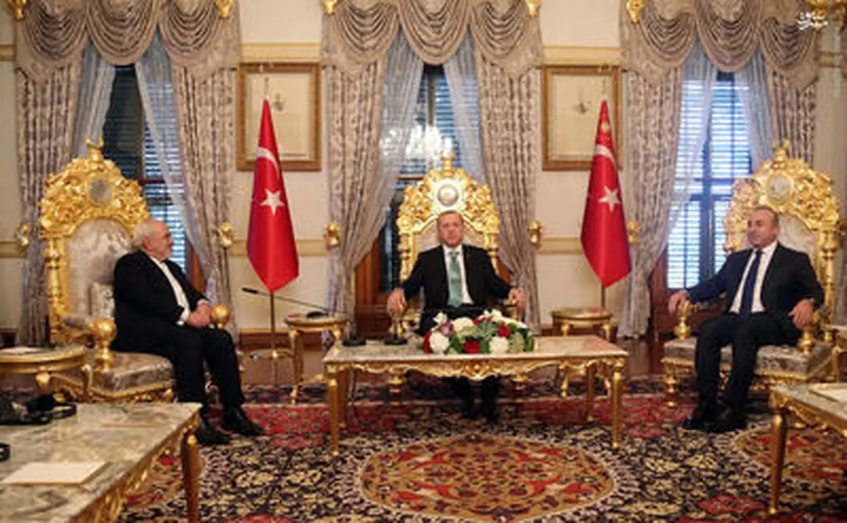 استقبال اردوغان از ظریف در کاخ مجلل/ تصاویر