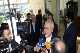 ظریف و صالحی در فرودگاه وین/ تصاویر