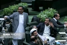 نماینده جنجالی در جلسه امروز مجلس!/ عکس