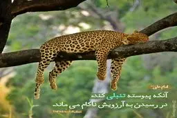 حدیث نورانی و زیبای حضرت علی (ع) در مورد تنبلی+عکس