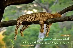 حدیث نورانی و زیبای حضرت علی (ع) در مورد تنبلی+عکس