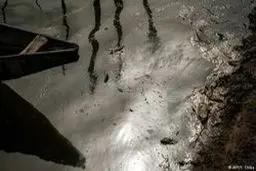 گزارش سازمان ملل از قربانی شدن ميليون‌ها نفر به دليل آلودگی محيط‌زيستی