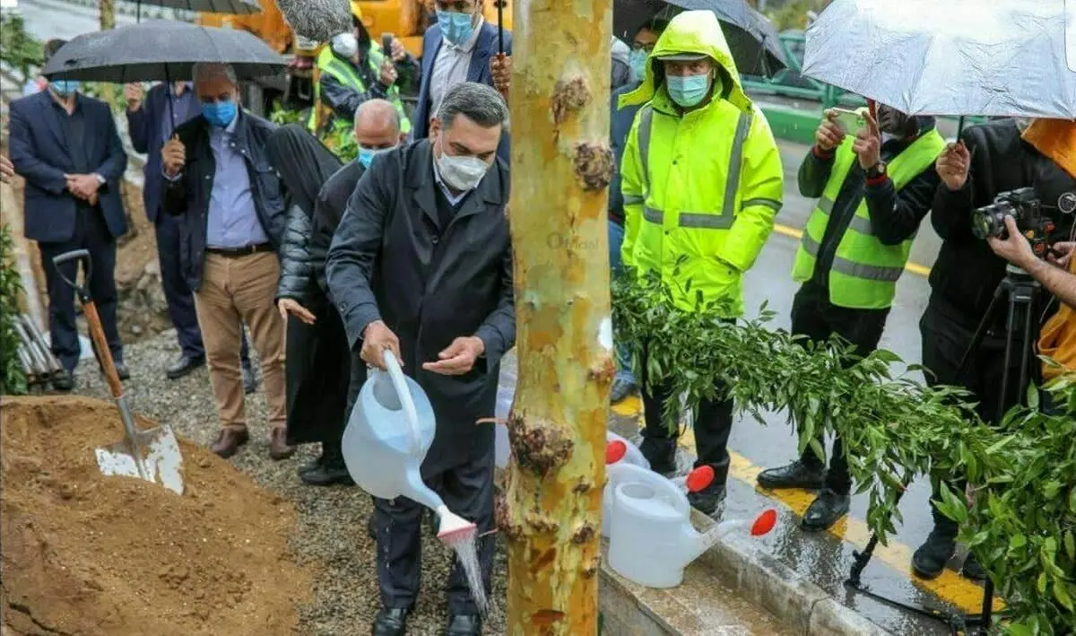 عکس جنجالی شهردار تهران؛ آبیاری درختان زیر باران