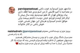 تصویری از پیام رد و بدل شده پرويز پرستویی و شادمهر عقیلی در اينستاگرام