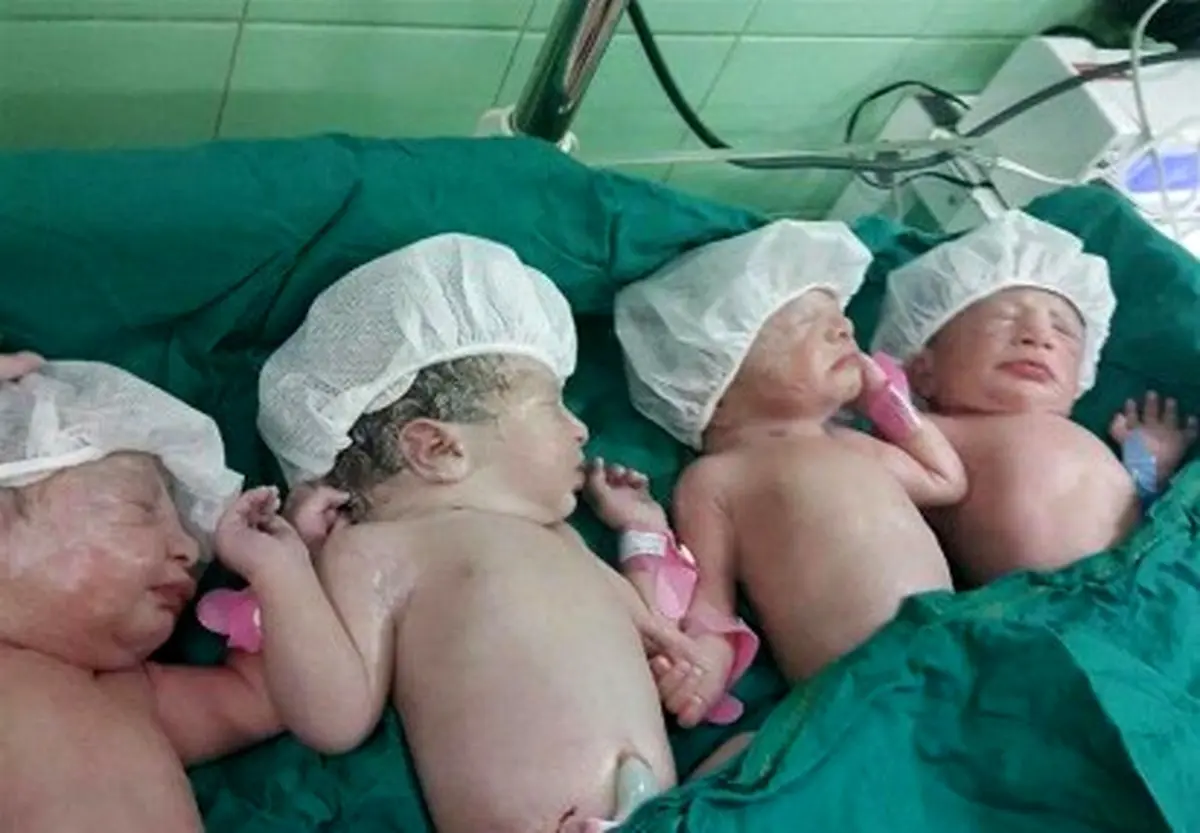 ۴ قلوهای جدید قمی به دنیا آمدند/عکس