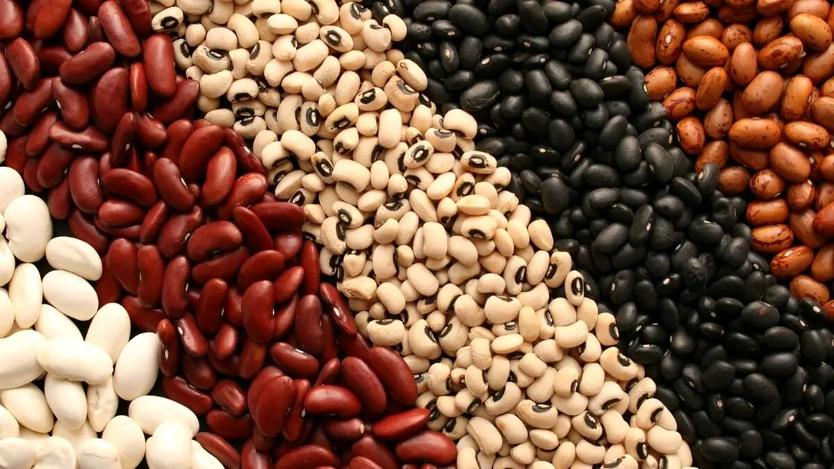 اتفاقی عجیب در بازار؛ قیمت لوبیا هم قیمت گوشت شد!