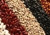 اتفاقی عجیب در بازار؛ قیمت لوبیا هم قیمت گوشت شد!