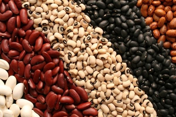 اتفاقی عجیب در بازار؛ قیمت لوبیا هم قیمت گوشت شد!