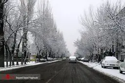 تصاویری زیبا از اردبیل برفی