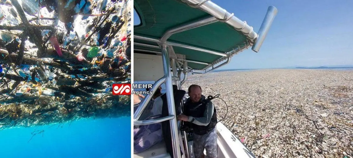 دریای زباله در نزدیکی جزیره «روآتان» هندوراس/عکس