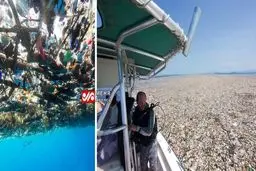 دریای زباله در نزدیکی جزیره «روآتان» هندوراس/عکس