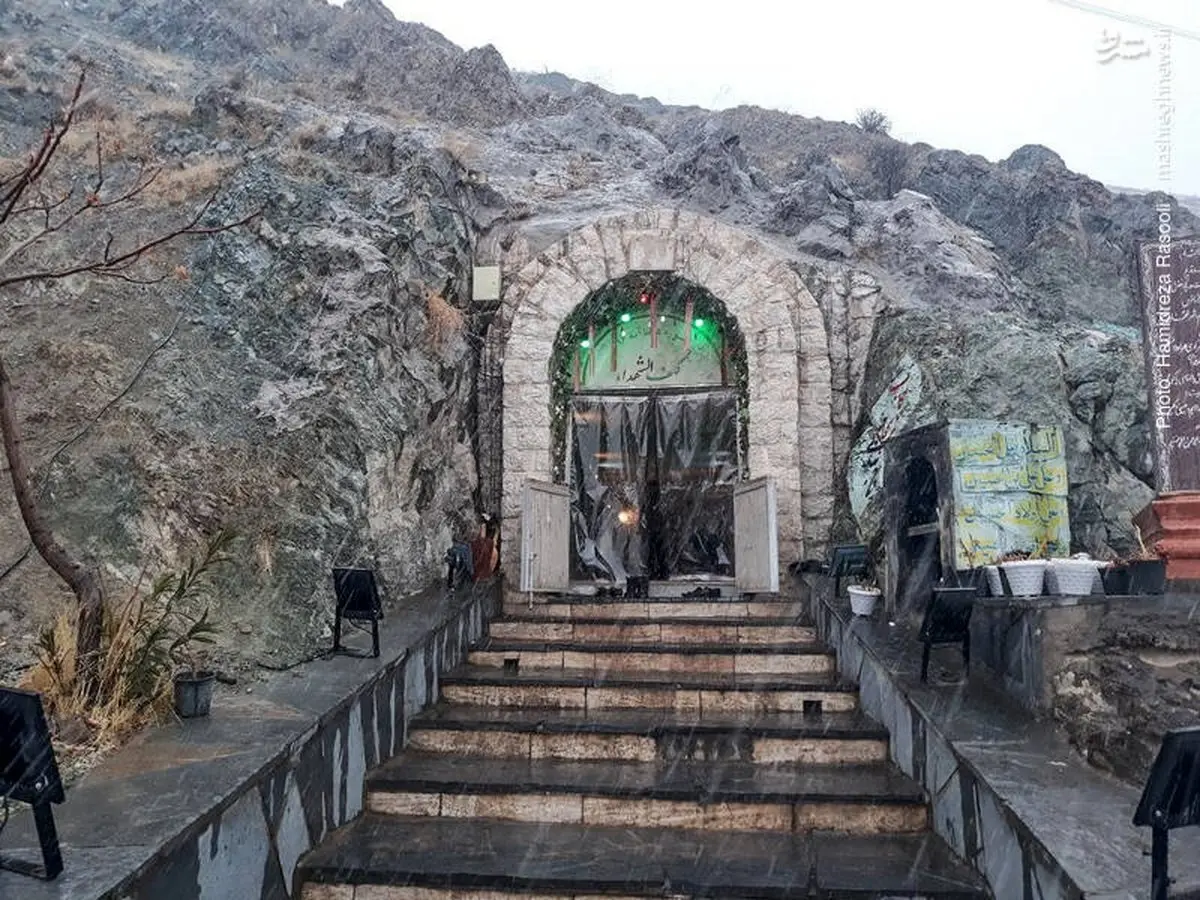 باران هوای تهران را دلپذیر کرد/تصاویر