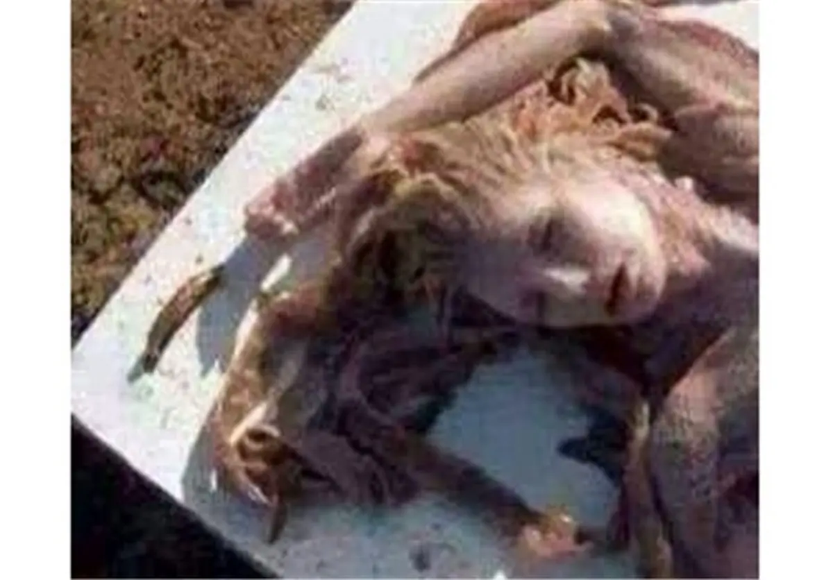 این پری دریایی نیست+تصاویر