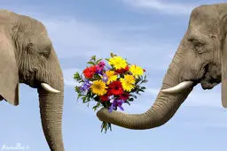 عکس جالب و دیدنی از دنیای حیوانات