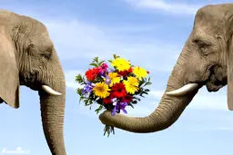 عکس جالب و دیدنی از دنیای حیوانات