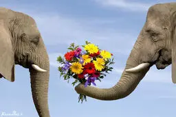 عکس جالب و دیدنی از دنیای حیوانات