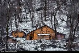 ماسوله سفید پوش شد/تصاویر