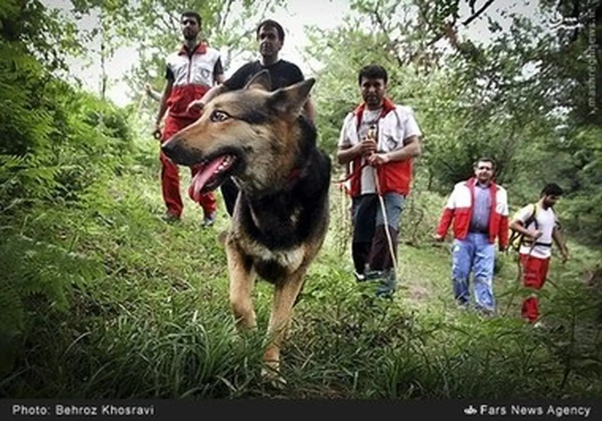 تلاش برای یافتن دو زن گمشده در جنگل‌های آمل/تصاویر