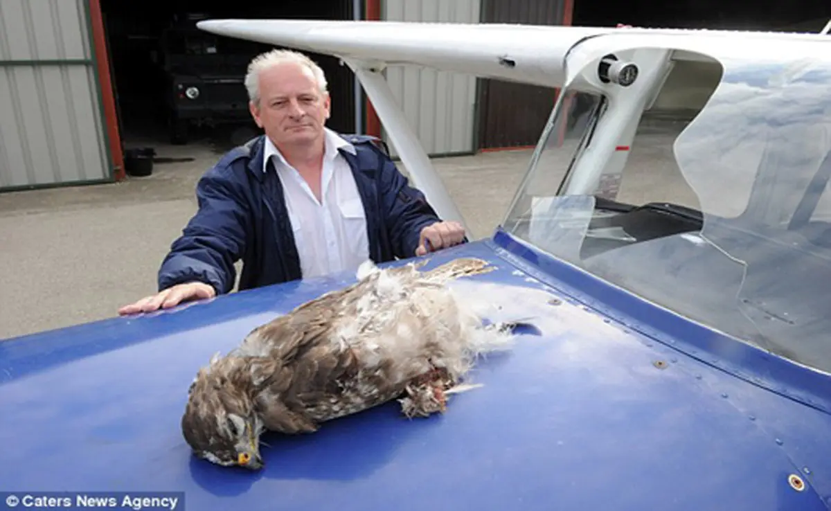 عکس:تصادف هواپیما در حین پرواز