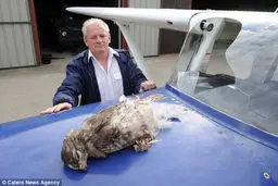 عکس:تصادف هواپیما در حین پرواز