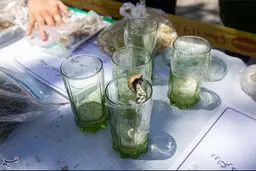 کشف یک ماده مخدر جدید در کشور+جزئیات وحشتناک